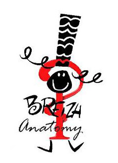 Breizh anatomy Breizh anatomy